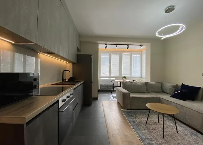 公寓 Peace And Luxury Apartment, In Center, New Bazaar1