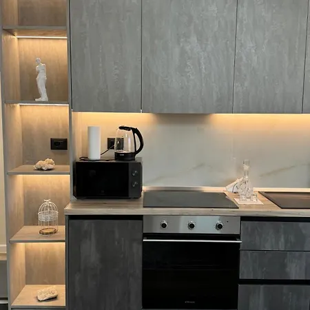 Peace And Luxury Apartment, In Center, New Bazaar1 Daire Tiran